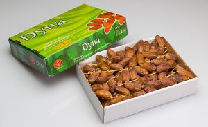 DEGLET-NOUR-ON-BRANCH_max-300x184.jpg