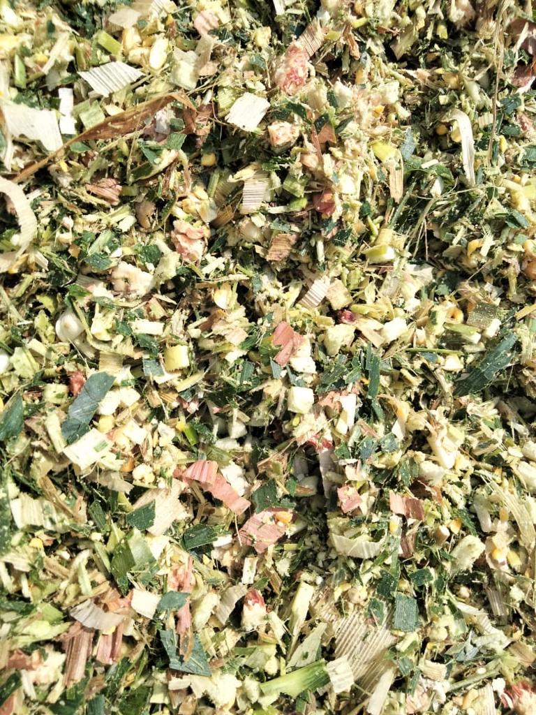 silage 4.jpg