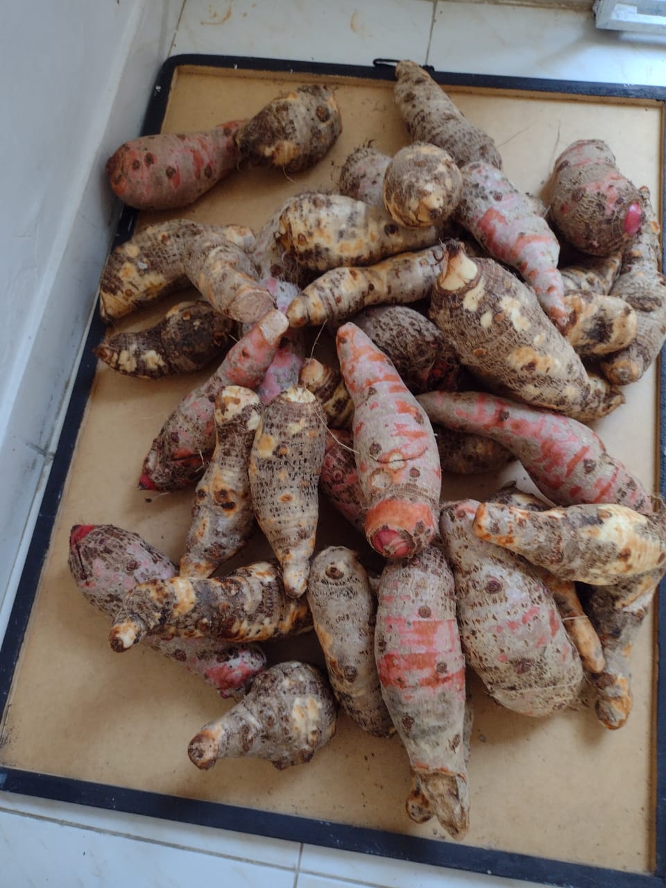 WhatsApp Image 2022-04-07 at 4.09.29 PM.jpeg