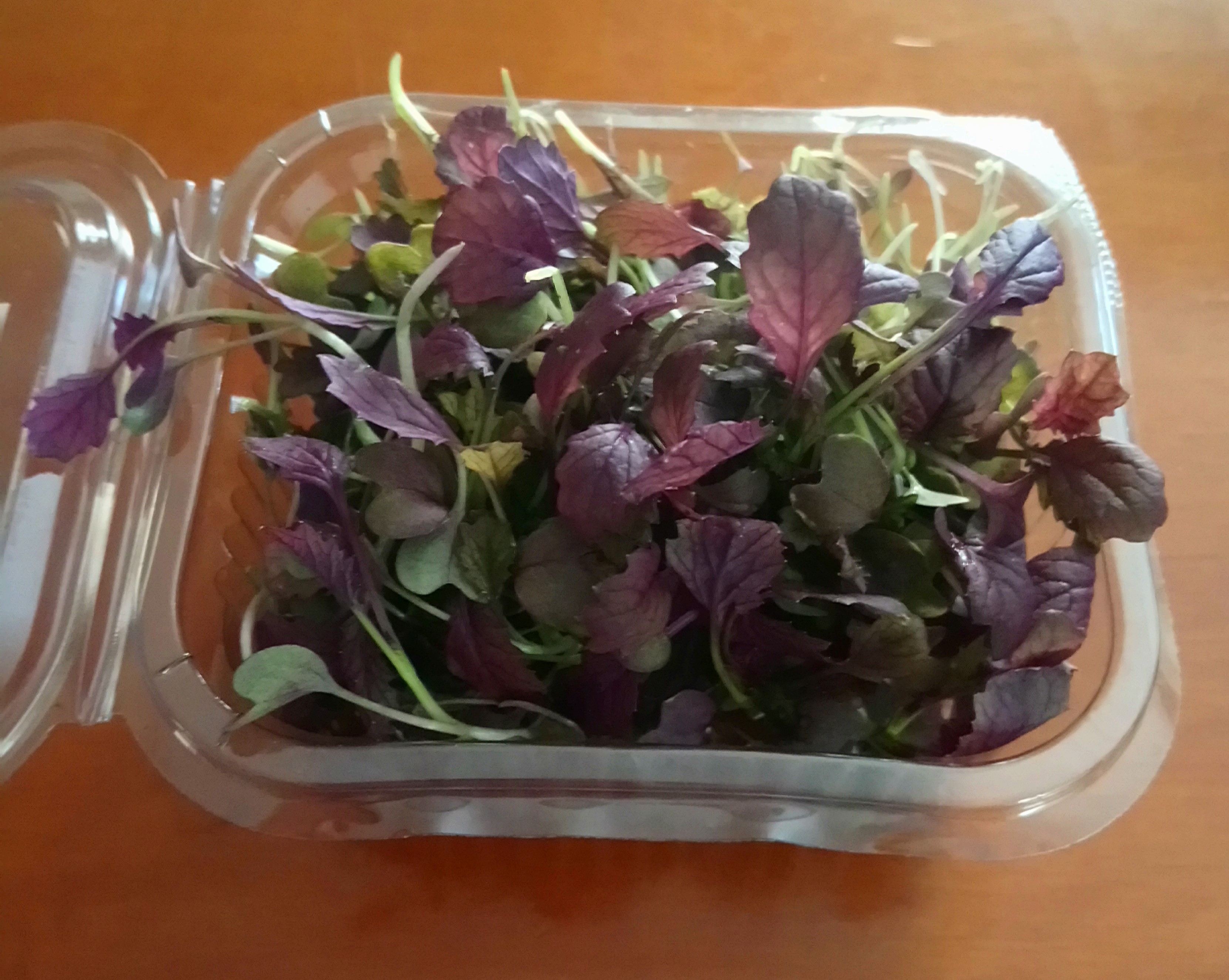 EXPORTERA BIO MG INDIAN RED MUSTARD 2022.JPG