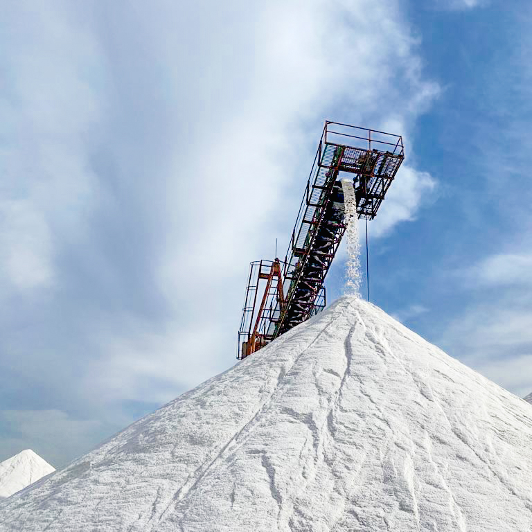 salt trip-05-2022-21.jpg