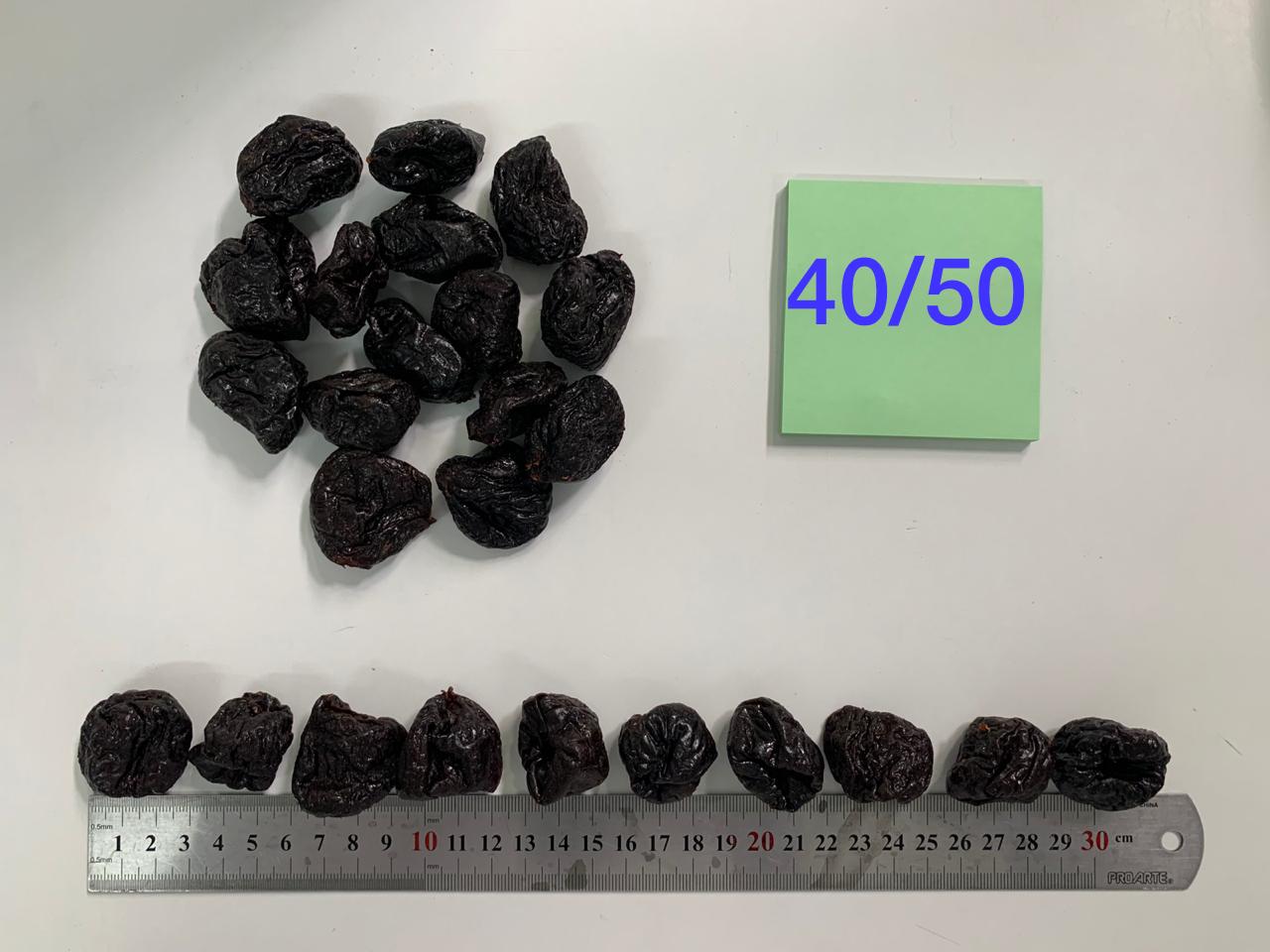 EX 40-50.jpeg