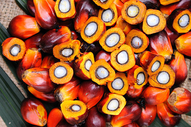 istockphoto-479806522-612x612.jpg