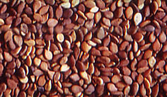 product_15.jpg