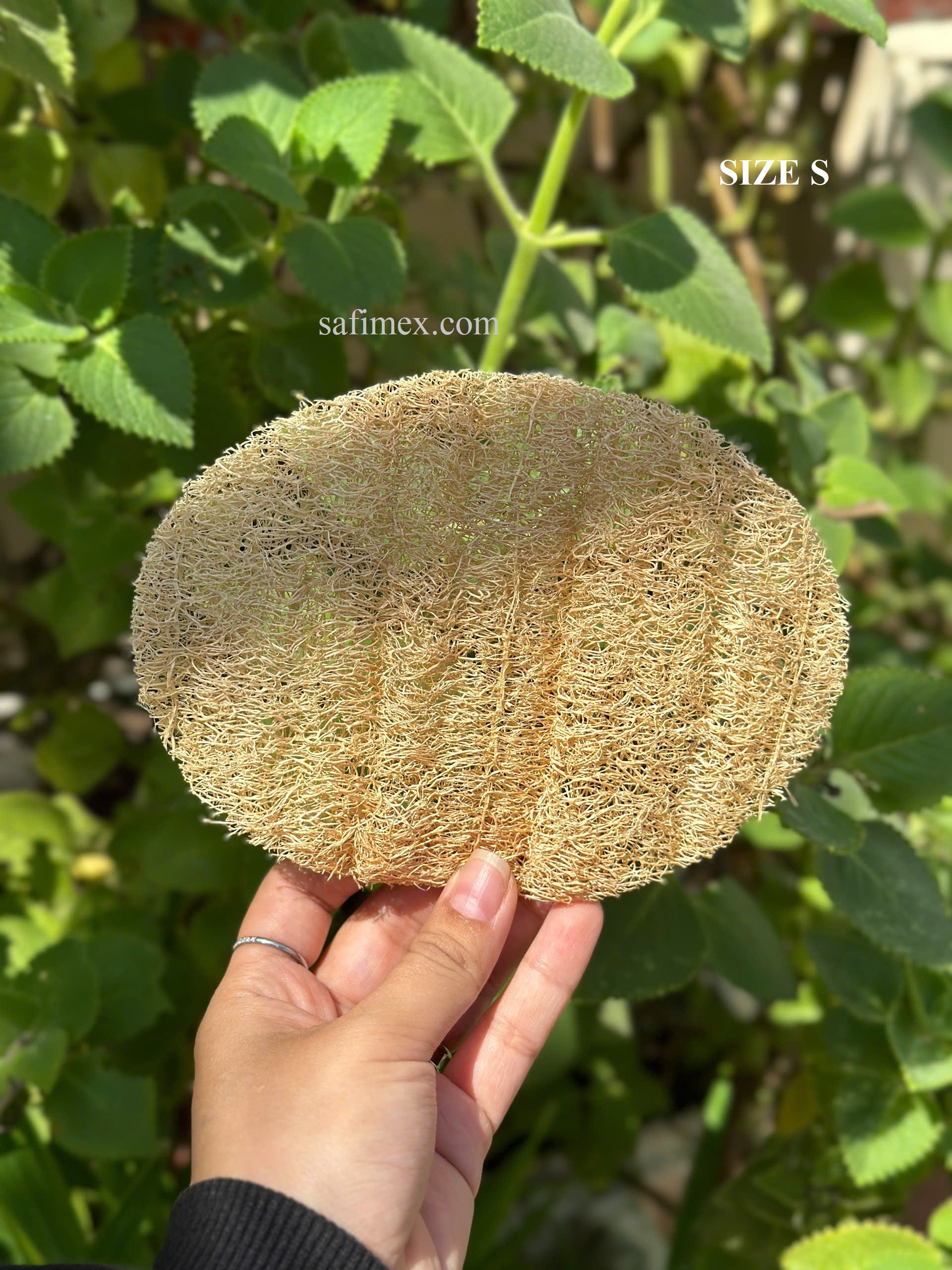 oval pads one side3.jpg