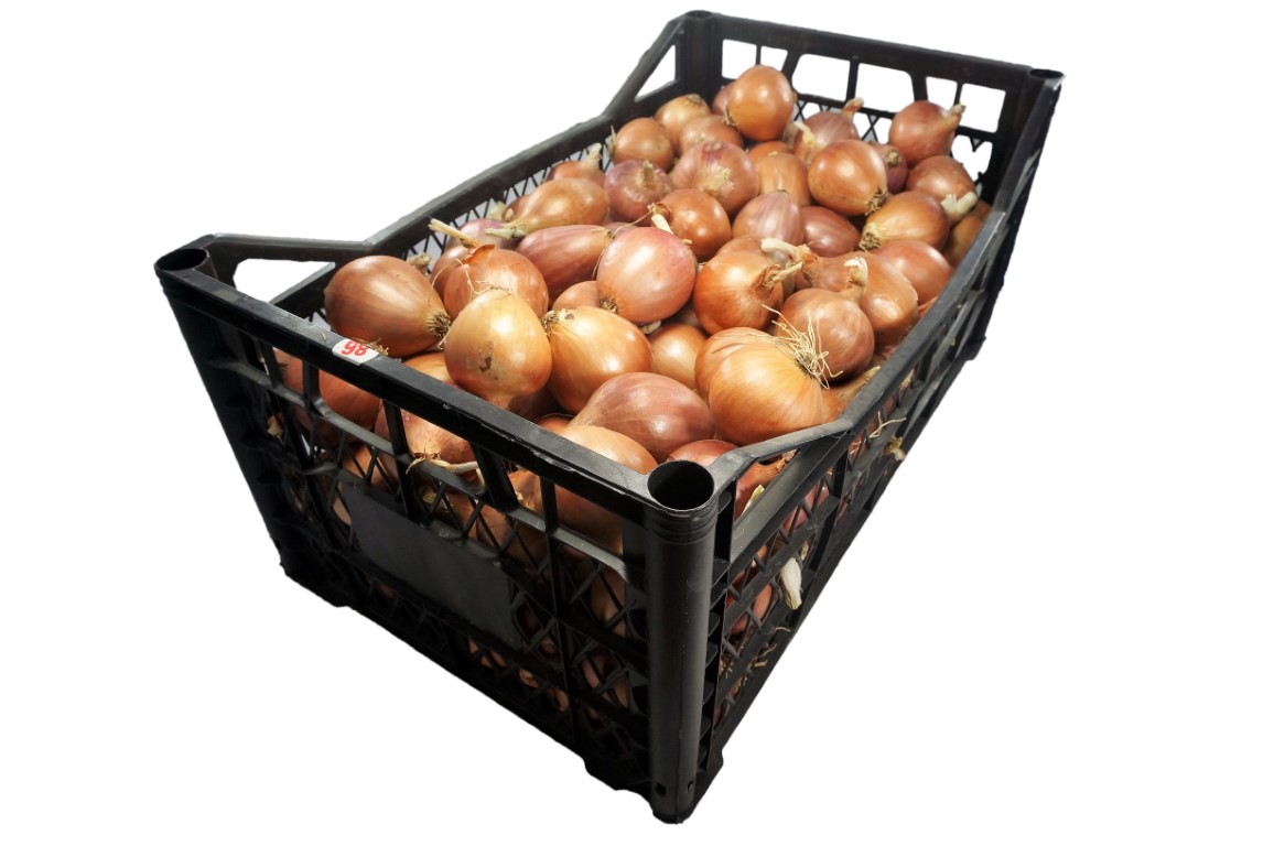 Shallot - Round (2).jpg
