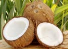 fresh_coconut_small.jpg