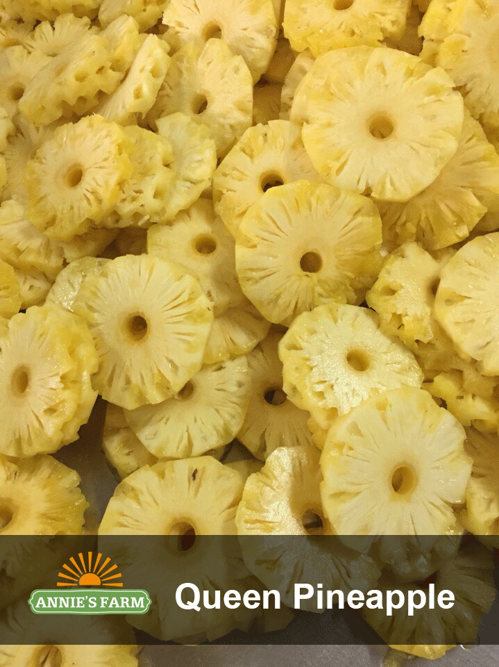 Queen-pineapple-Slice-Annie's-Farm.png