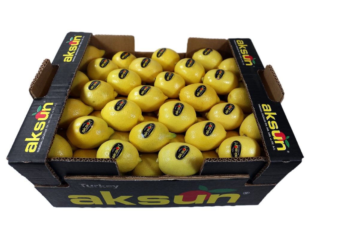 Lemon-4.jpg