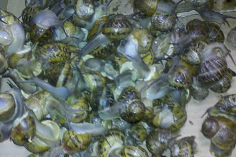 pic3.jpg