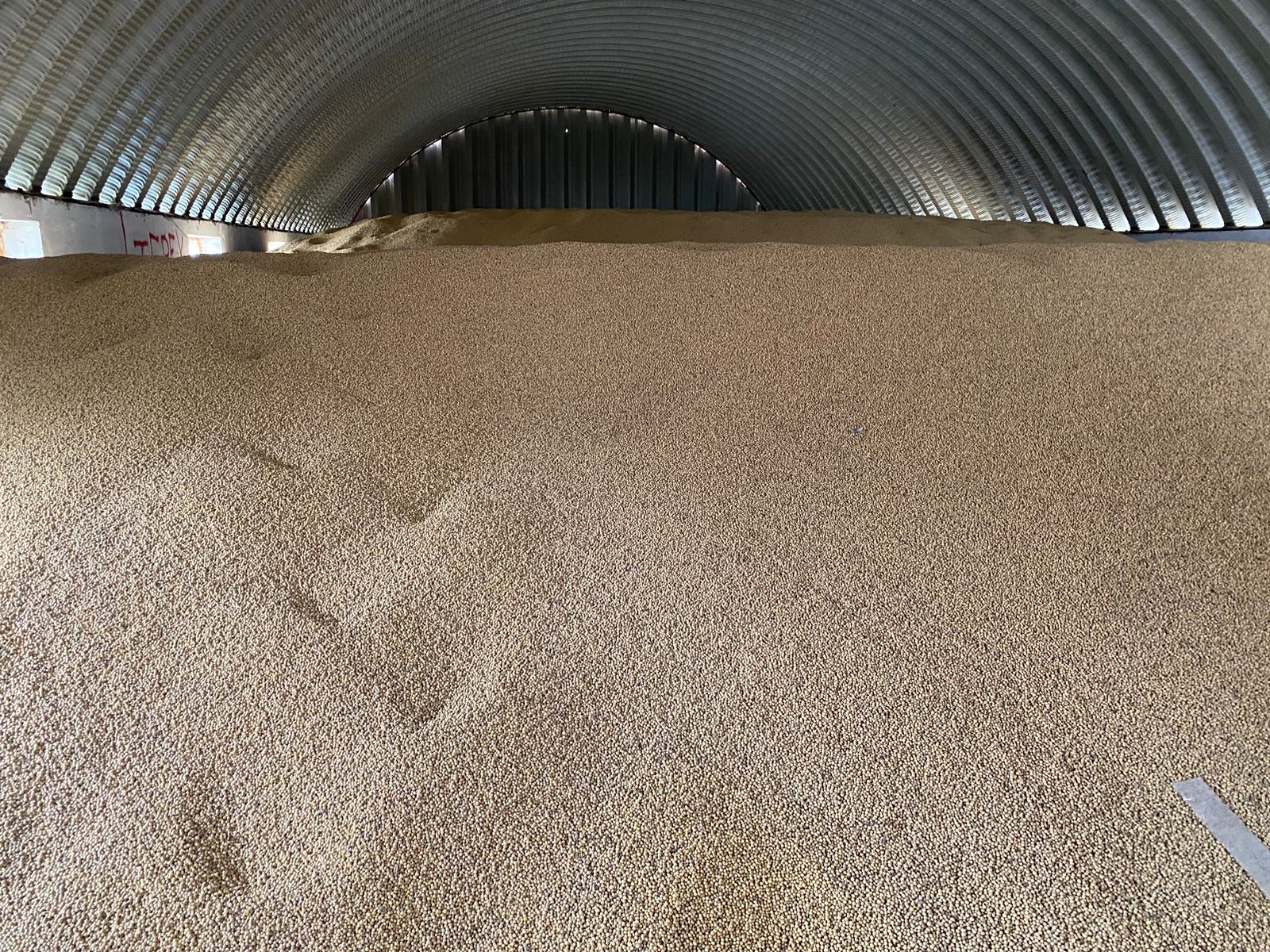 Изображение WhatsApp 2024-05-18 в 12.35.19_26a901c2.jpg