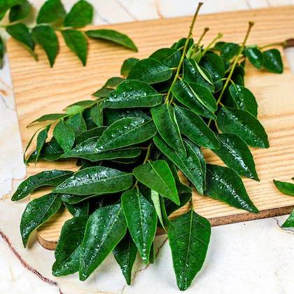 oev-o1-curry-leaves-1.jpg