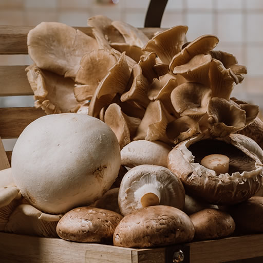 mushroom-mix.jpg