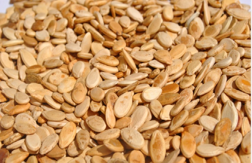Watermelon Seeds.jpg