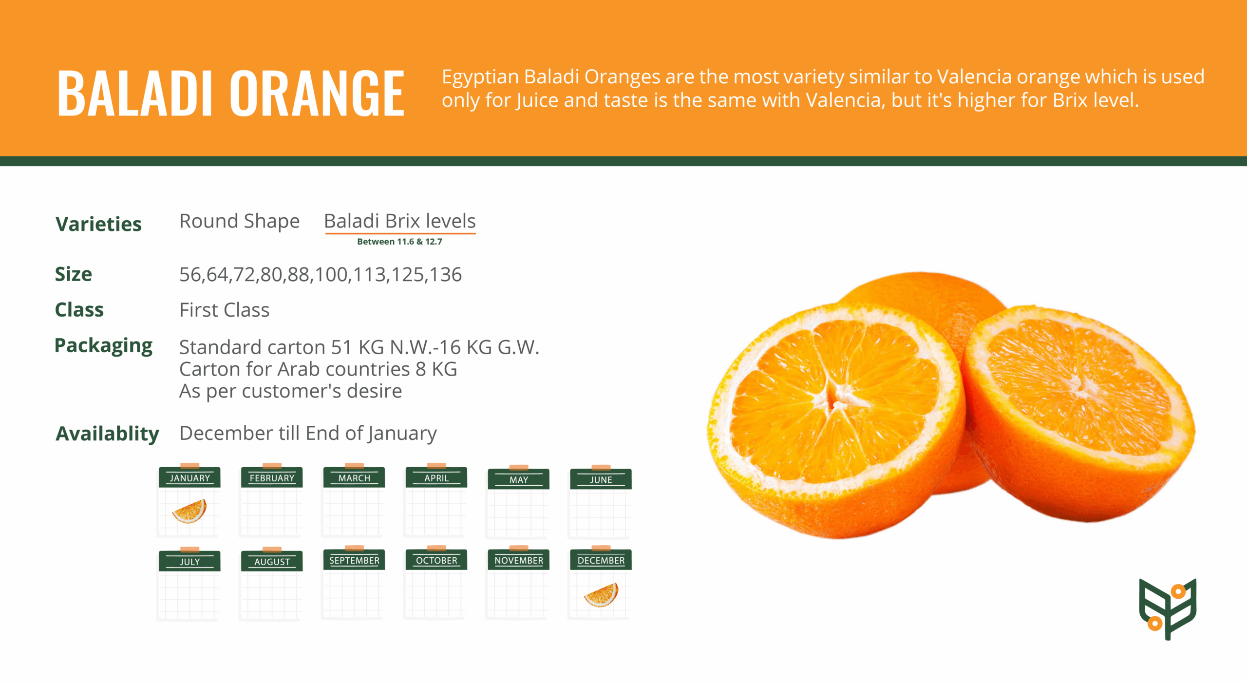 BALADI-ORANGE-scaled.png