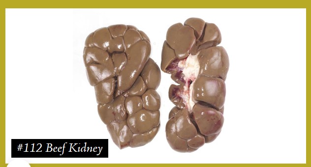 Beef Kidney.jpg