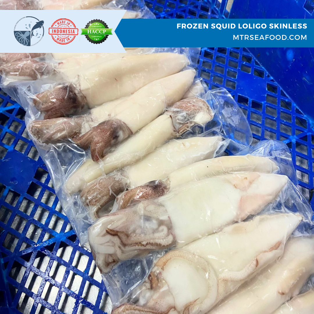 FROZEN SQUID LOLIGO SKINLESS MTRSEAFOOD.COM.png