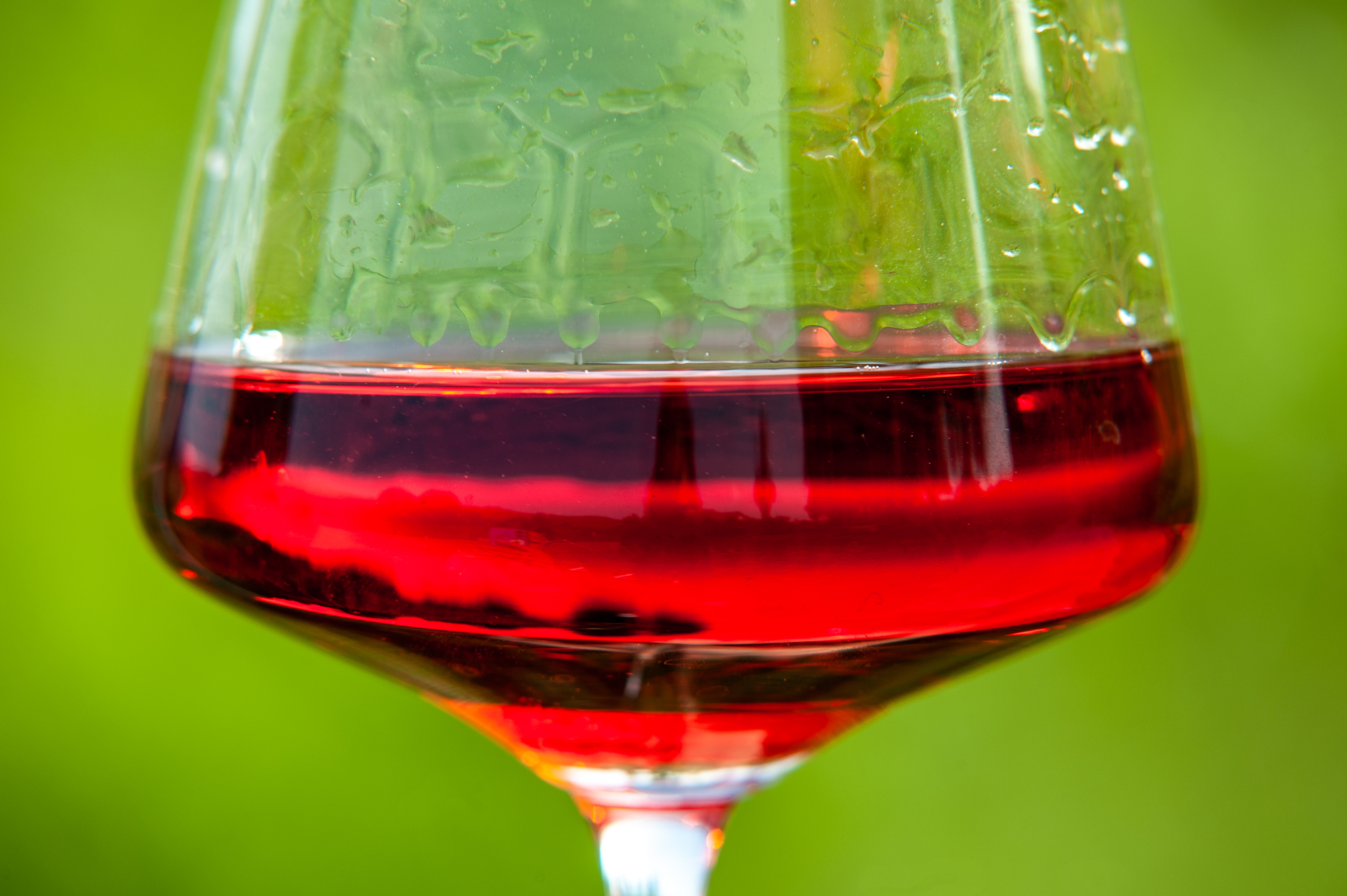 MontaliVini-DSC_0872.jpg