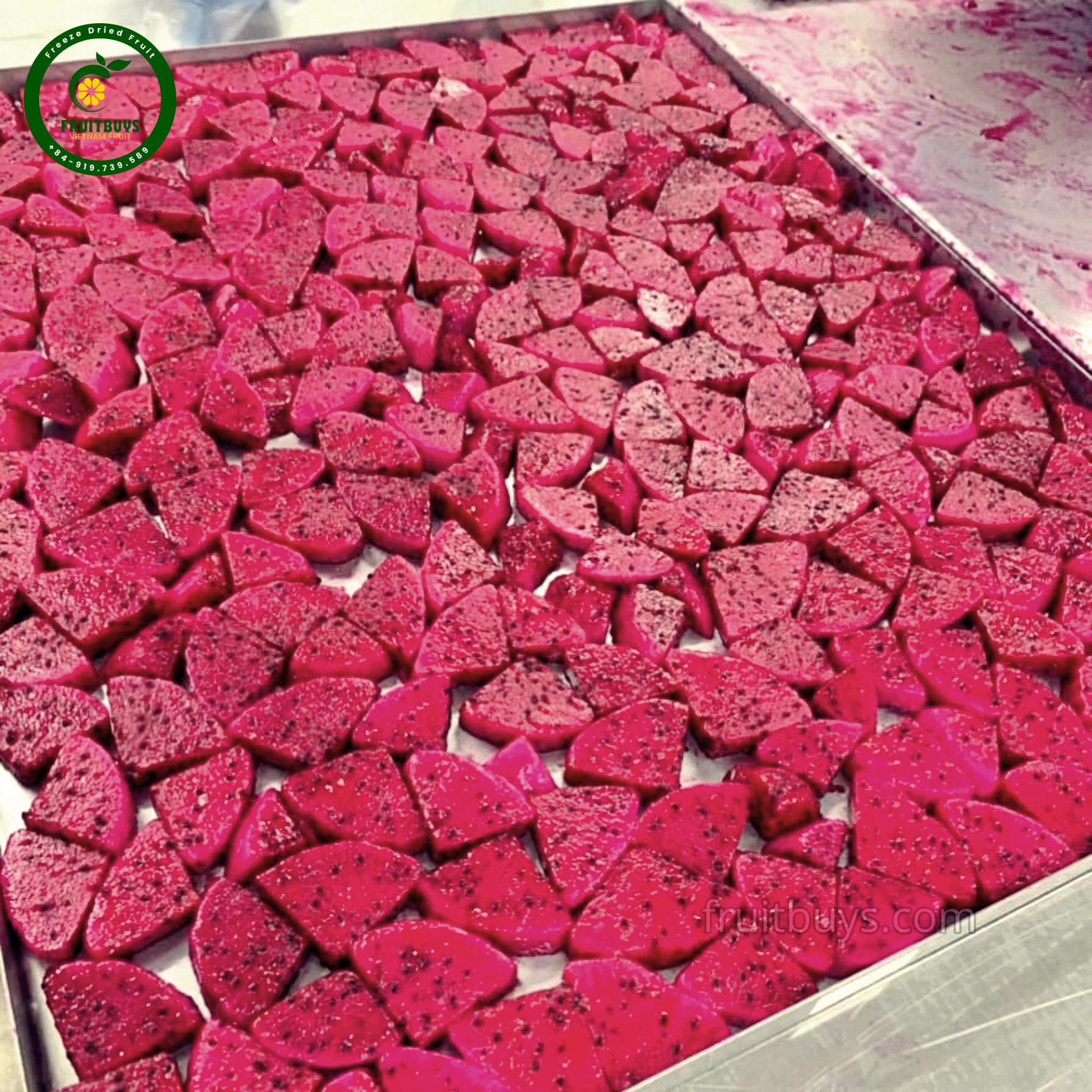 Freeze-dried dragon fruit Package- FruitBuys Vietnam (2).jpg