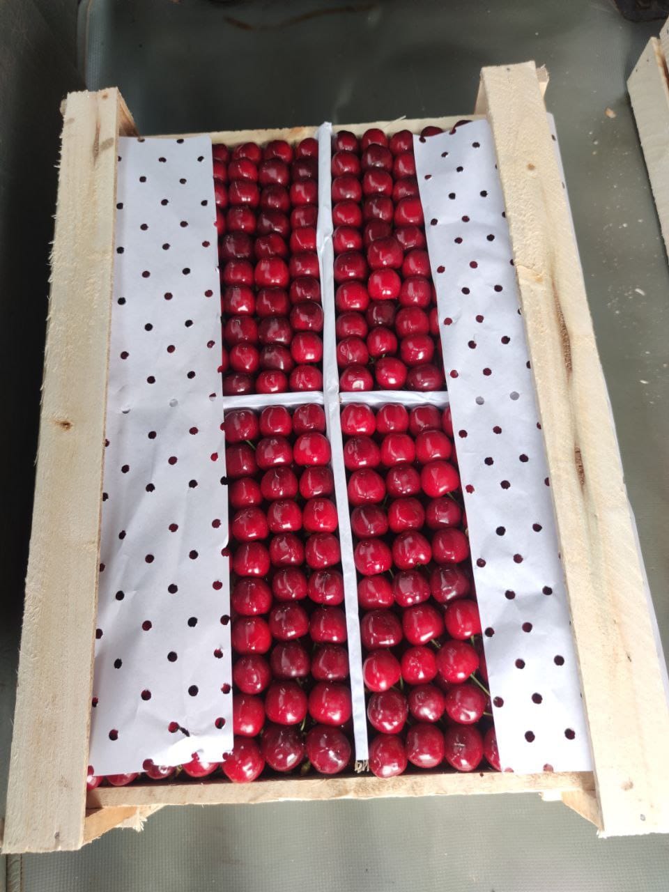 WhatsApp Image 2023-04-13 at 10.48.44 AM.jpeg