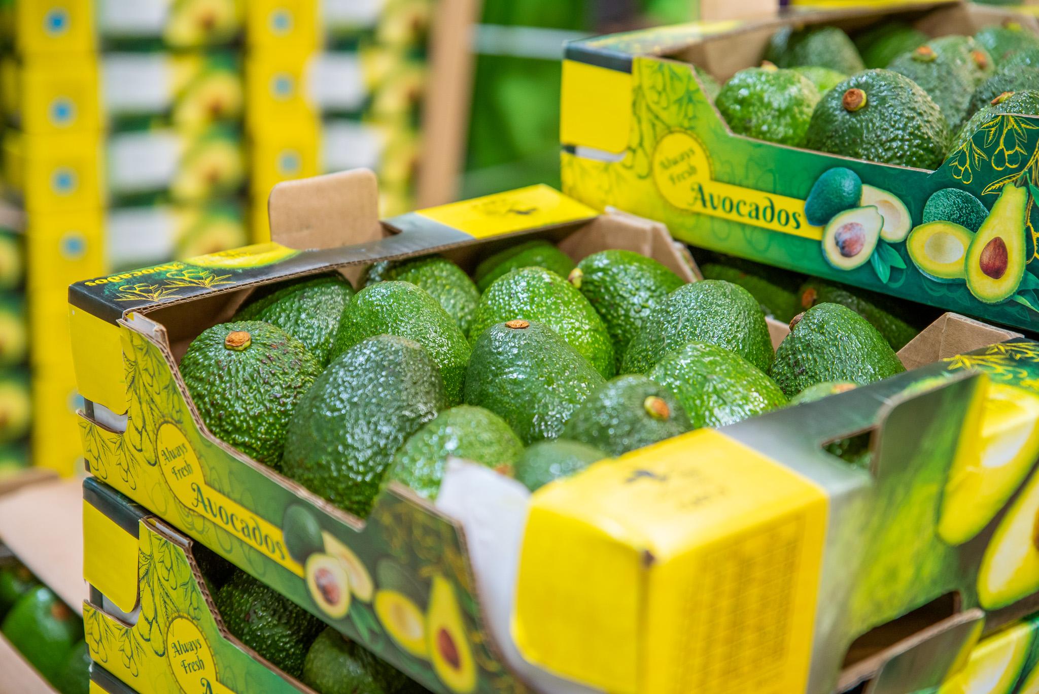 Yo Farm Packaging -20.jpg