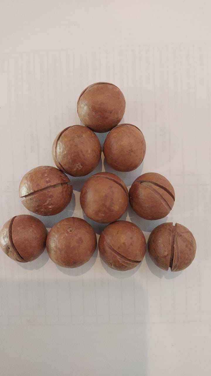 Split Macs.jpg