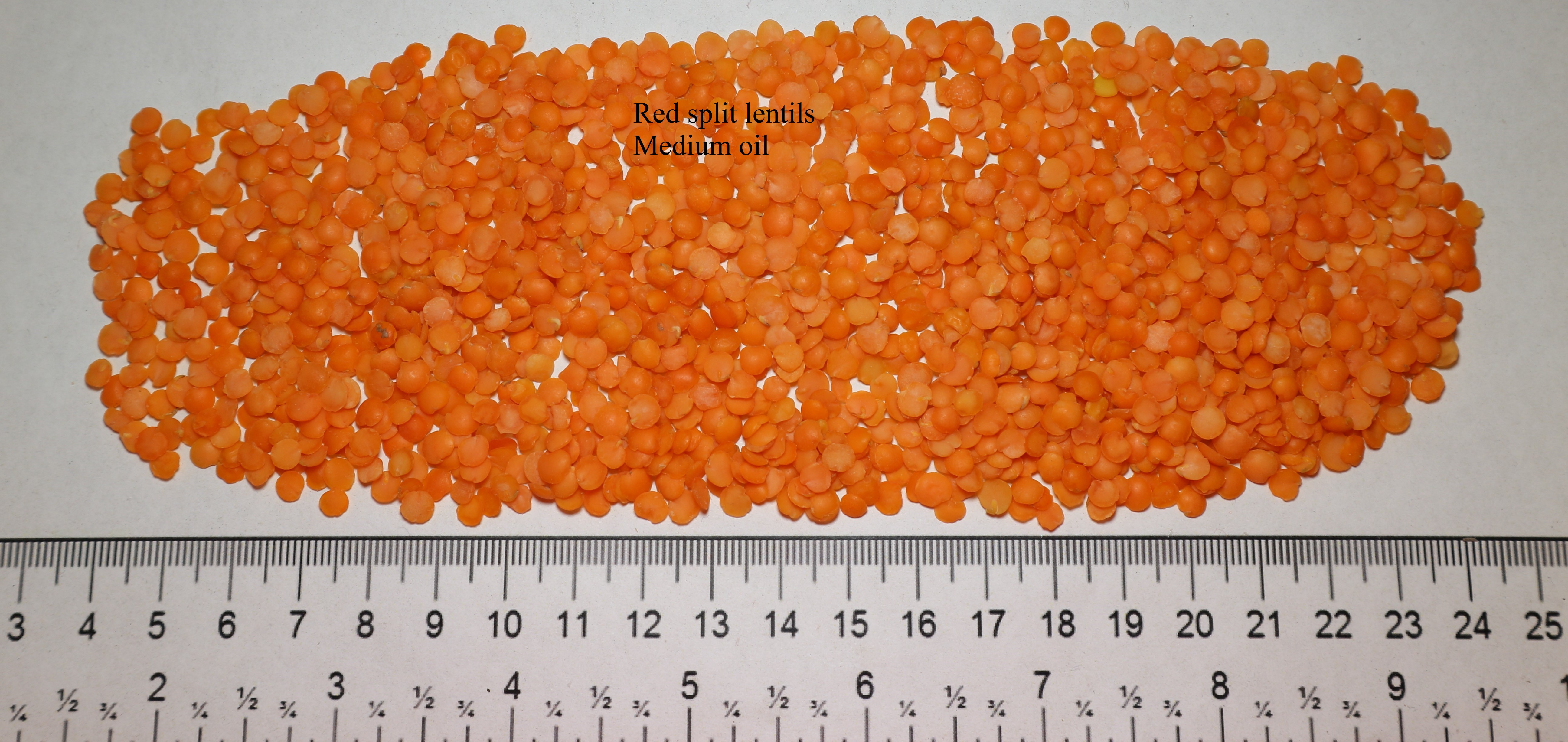 Red split lentils medium oil April 2021.jpg