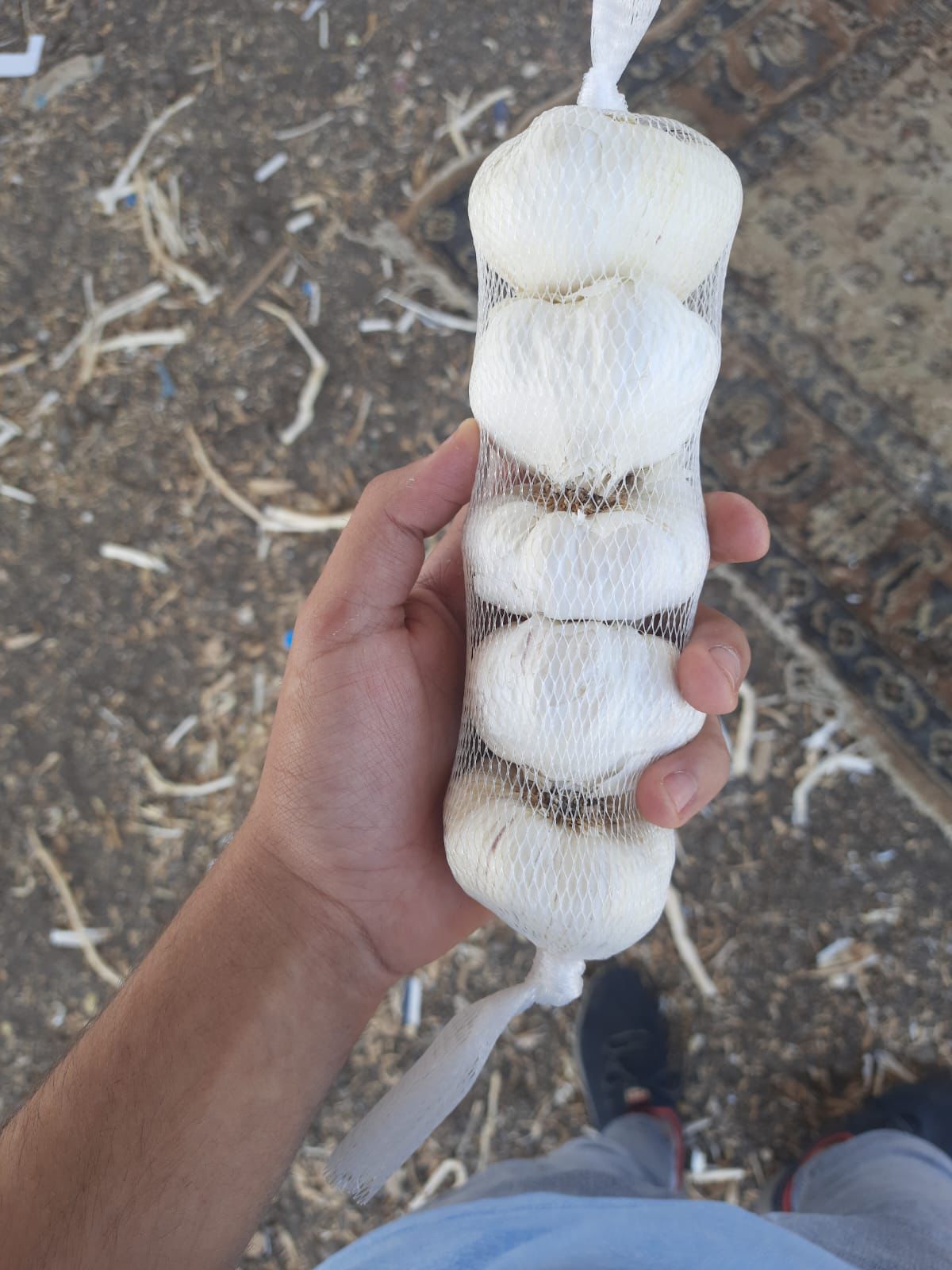 WhatsApp Image 2023-07-27 at 12.30.35 AM.jpeg