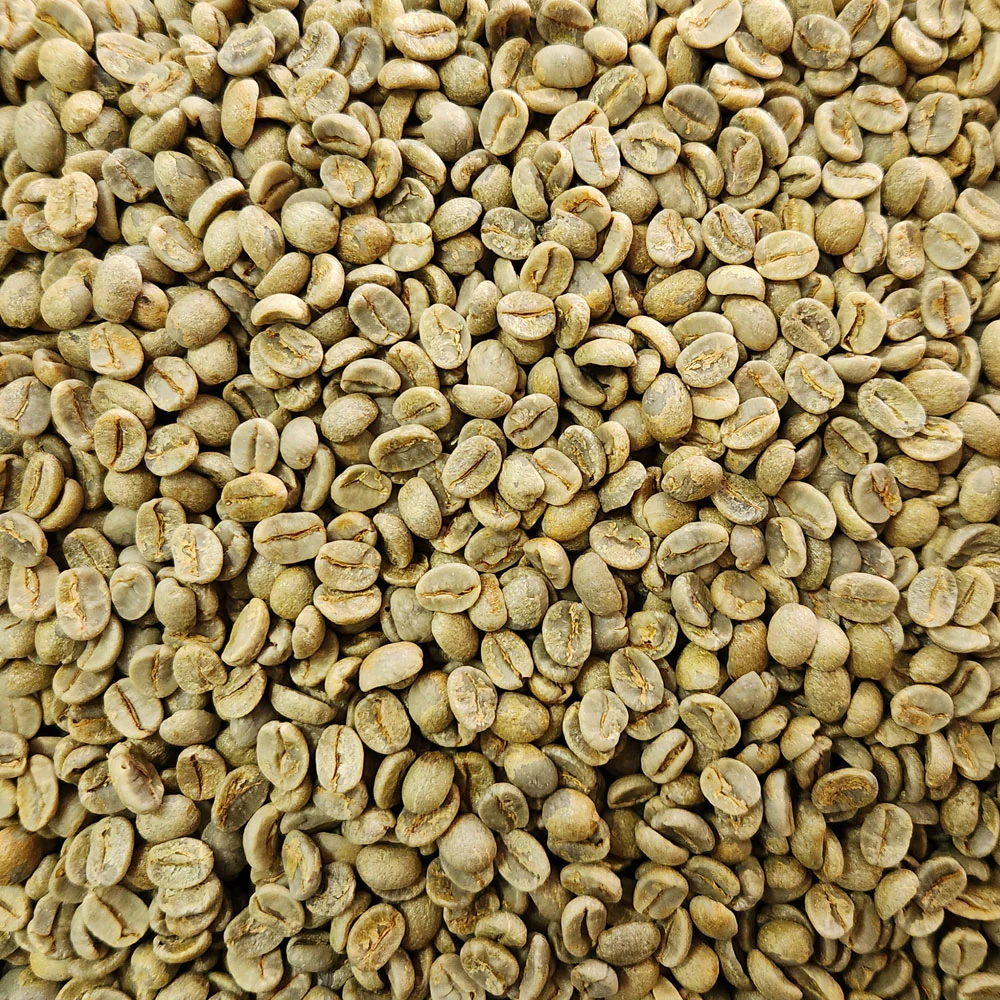 unroasted coffee bean.webp