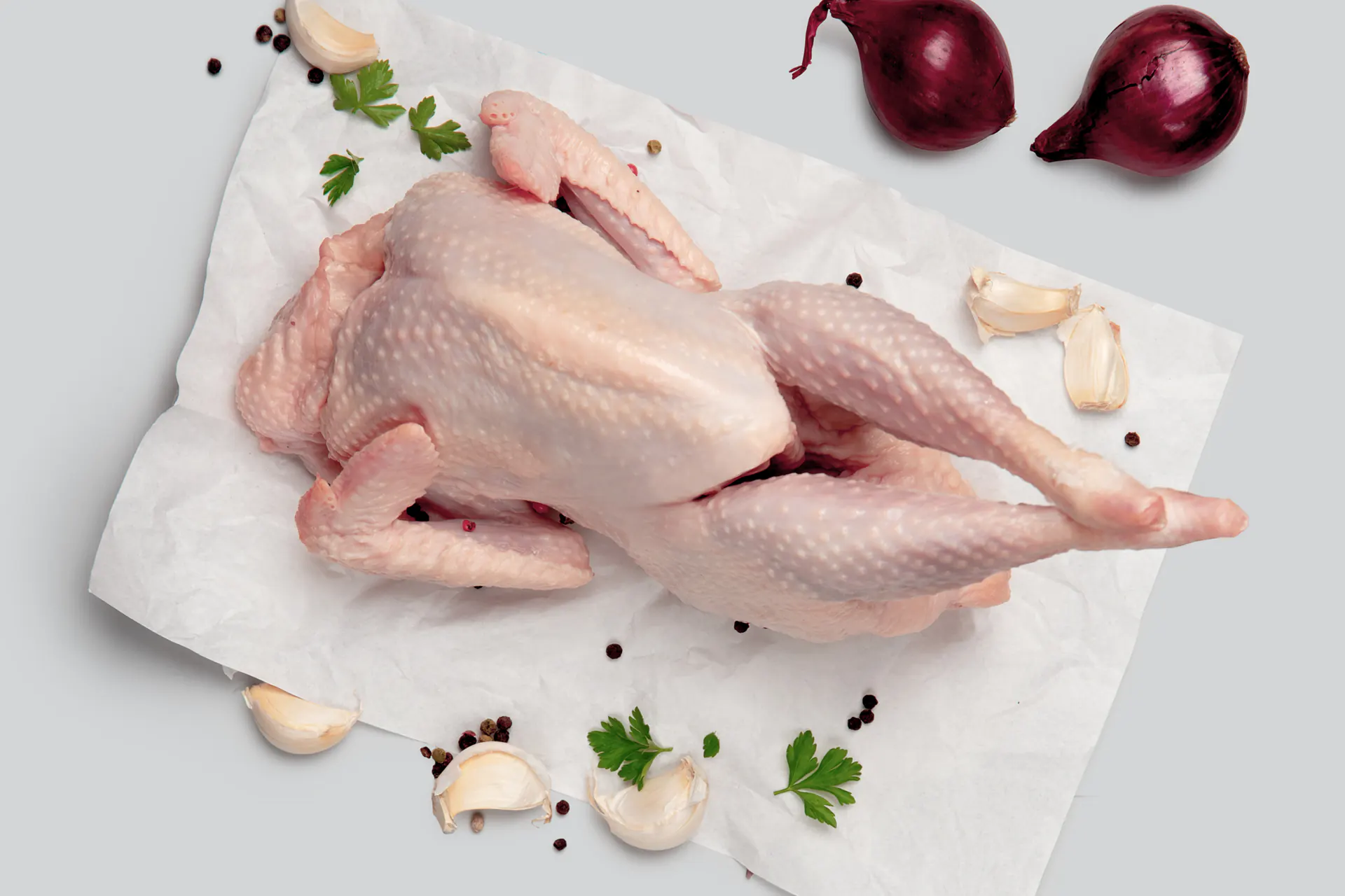 MERDA_bgrnd-7 (2).webp