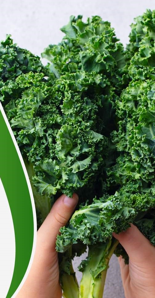 Kale 2.jpeg