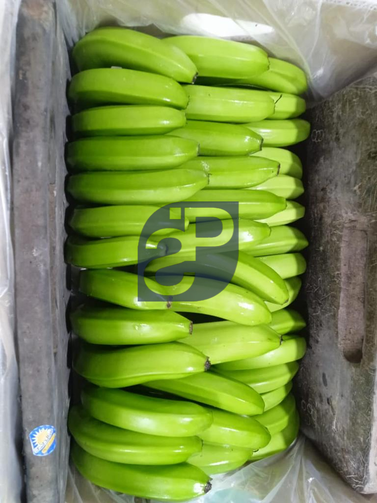 Bananas #5 - Standard & Partners.jpg