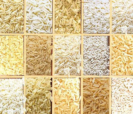 rice-type-206233156_std-500x500.webp