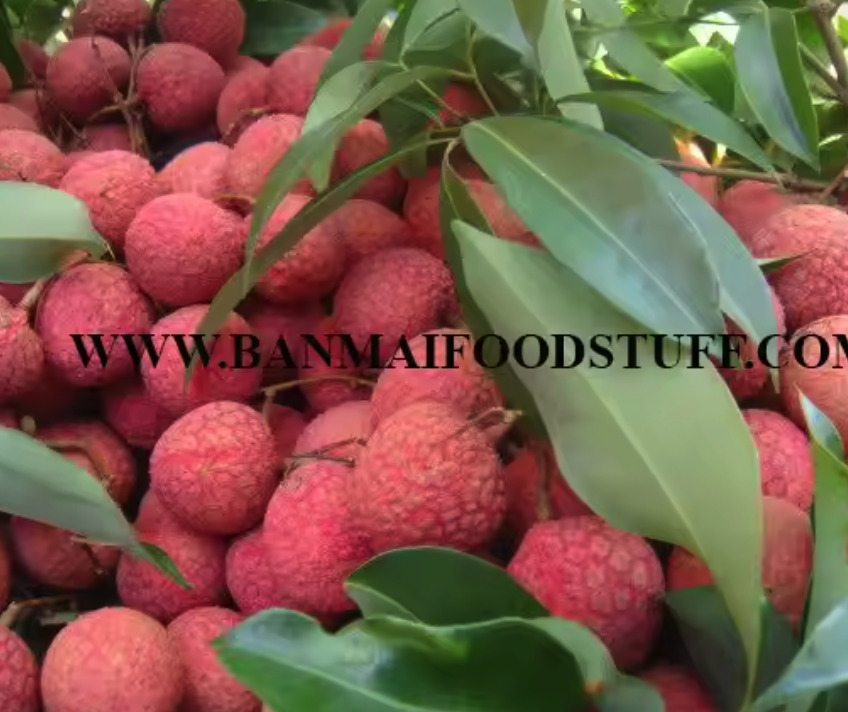 Screenshot 2025-01-07 at 09.02.28.png