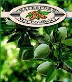 Waterford Nut Company - Olive Tree