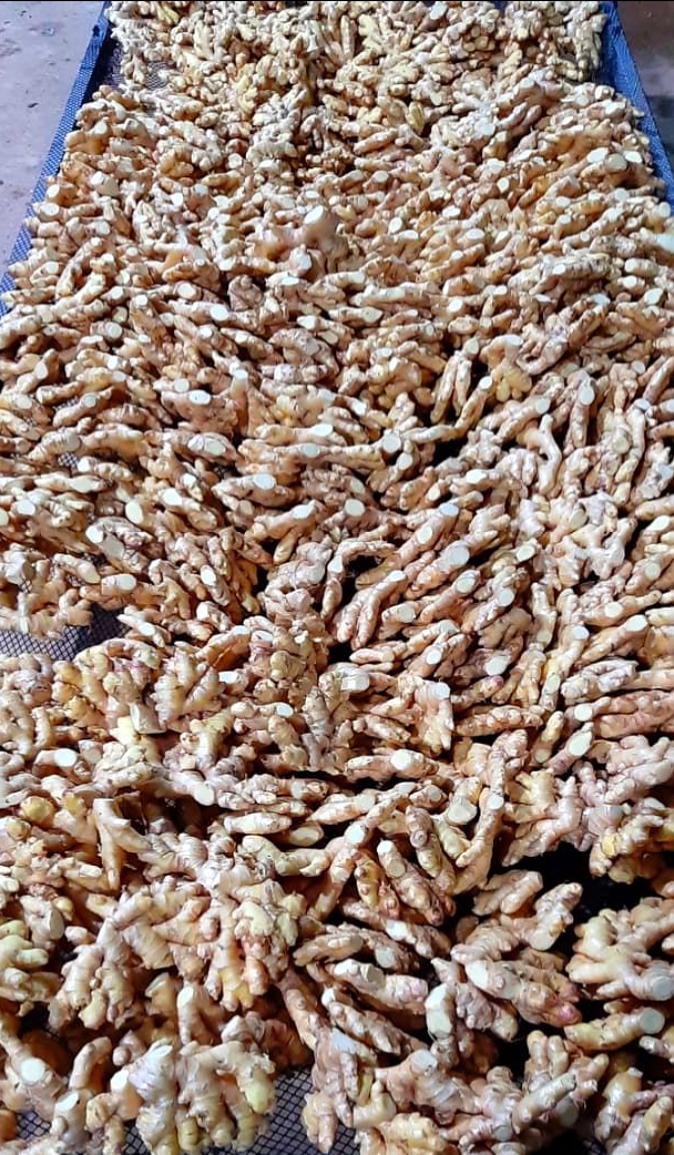 Peruvian Fresh Products - Ginger 1.jpg