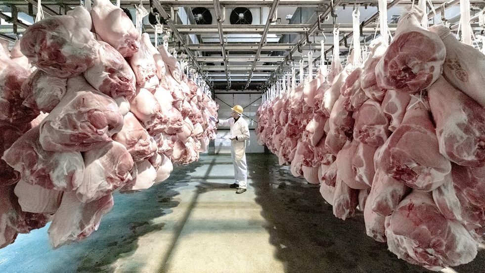 Belgian-Pork-Group---Schweinefleisch--36698.jpeg