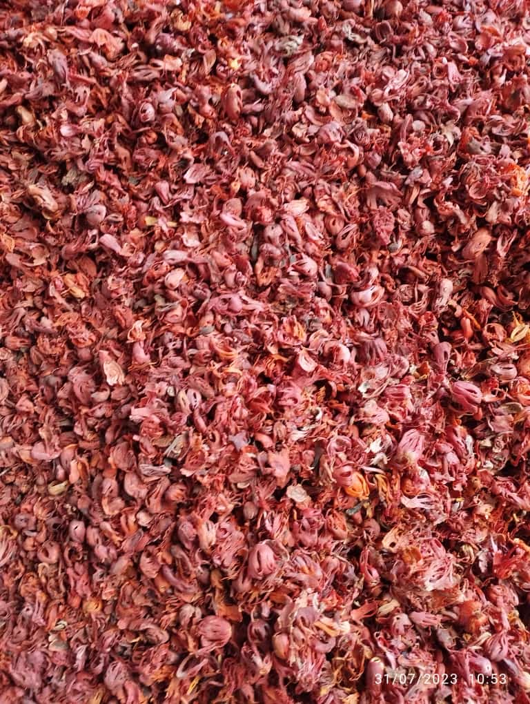 WhatsApp Image 2023-08-04 at 3.09.53 PM (1).jpeg