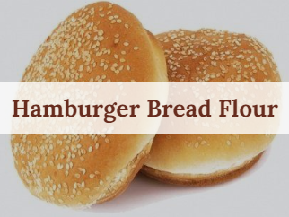HAMBURGER.png
