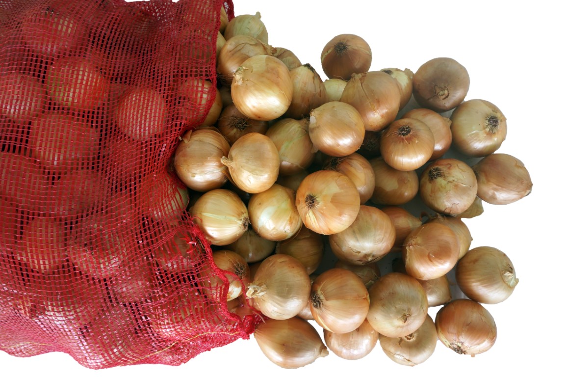 Onion-1.jpg