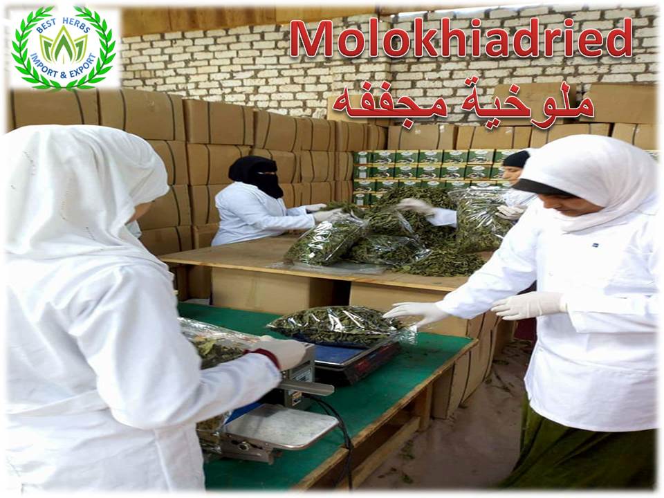 Meloukia Dried leaves3.jpg