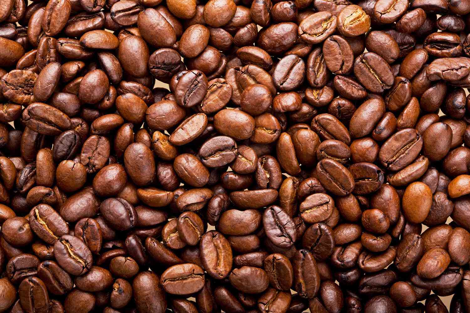 Arabica-Coffee .jpg