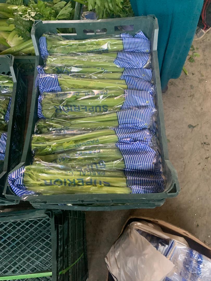 IMG-20190620-WA0109.jpg