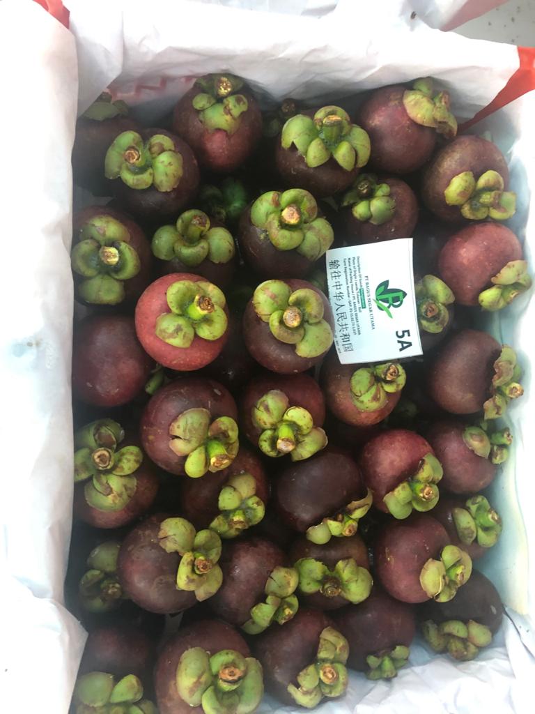 WhatsApp Image 2021-05-21 at 14.35.35 (1).jpeg