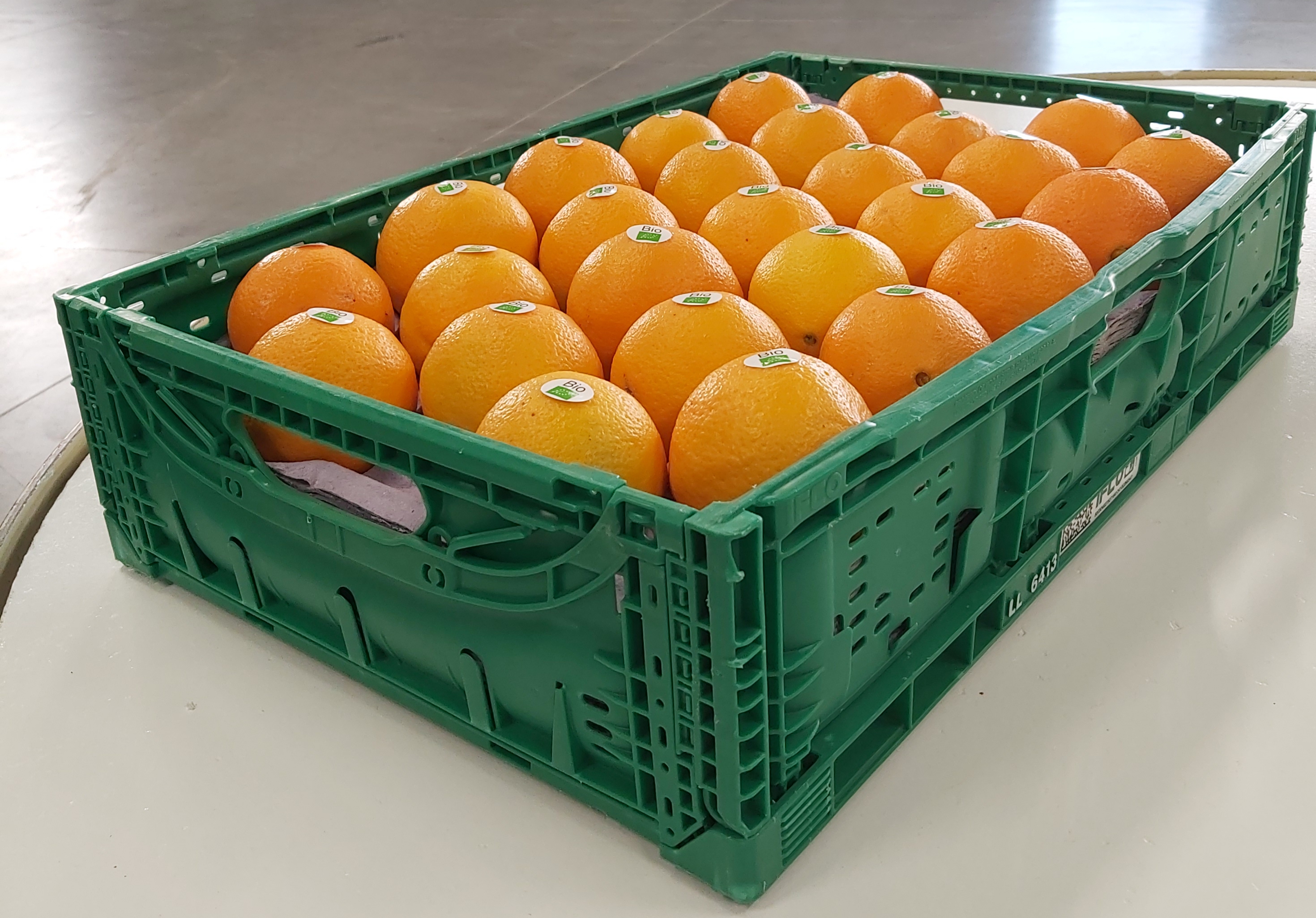 arance biondina arcobalenobio_.jpg