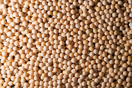 products_peas_yellow.jpg