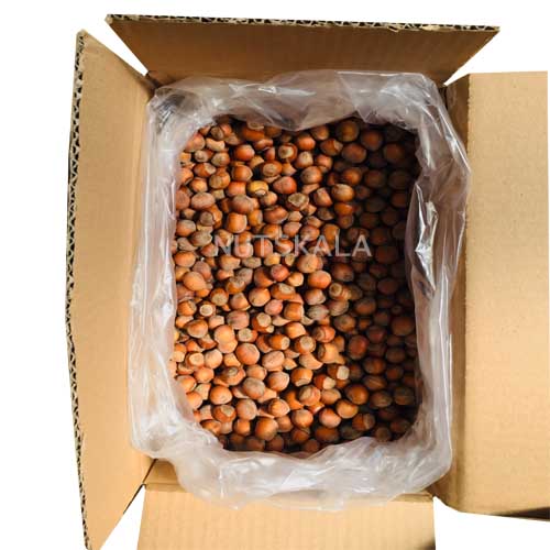 nutskala-kernelo-hazelnut-قیمت-فندق-عمده.jpg