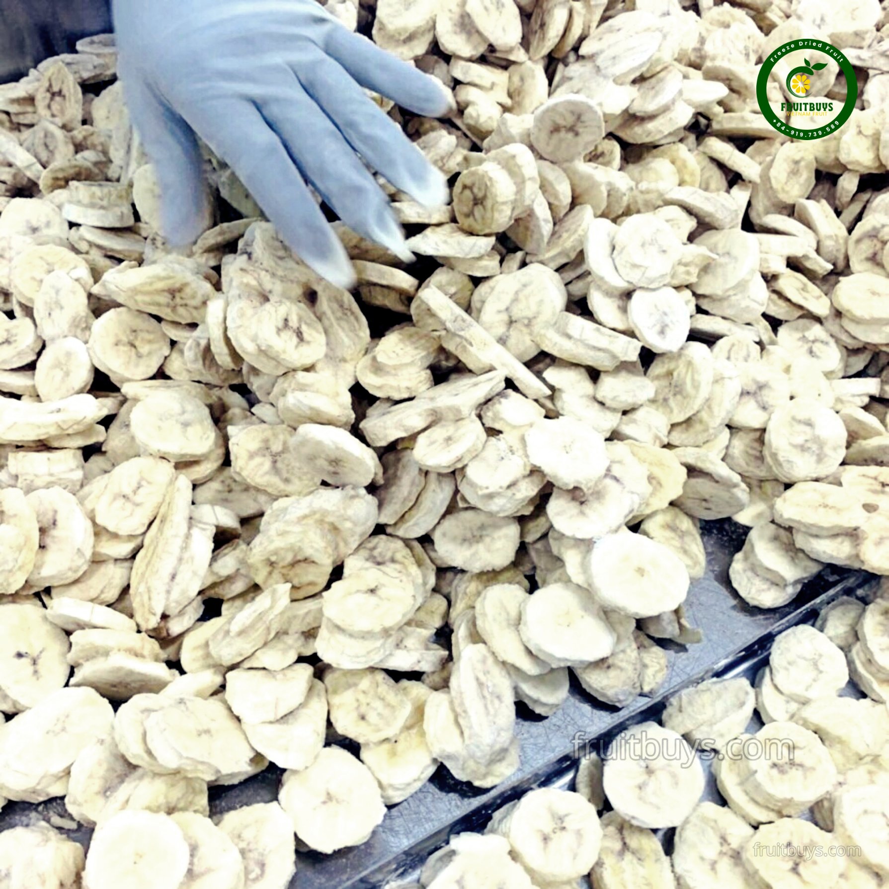 Freeze-Dried Banana Fruit Package- FruitBuys Vietnam (4).jpg
