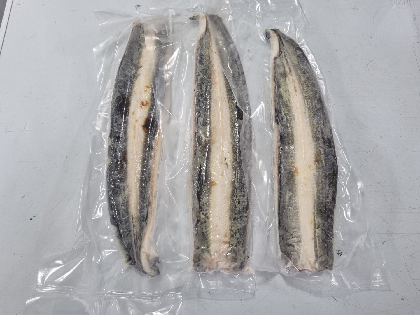 eel(unagi).jpg