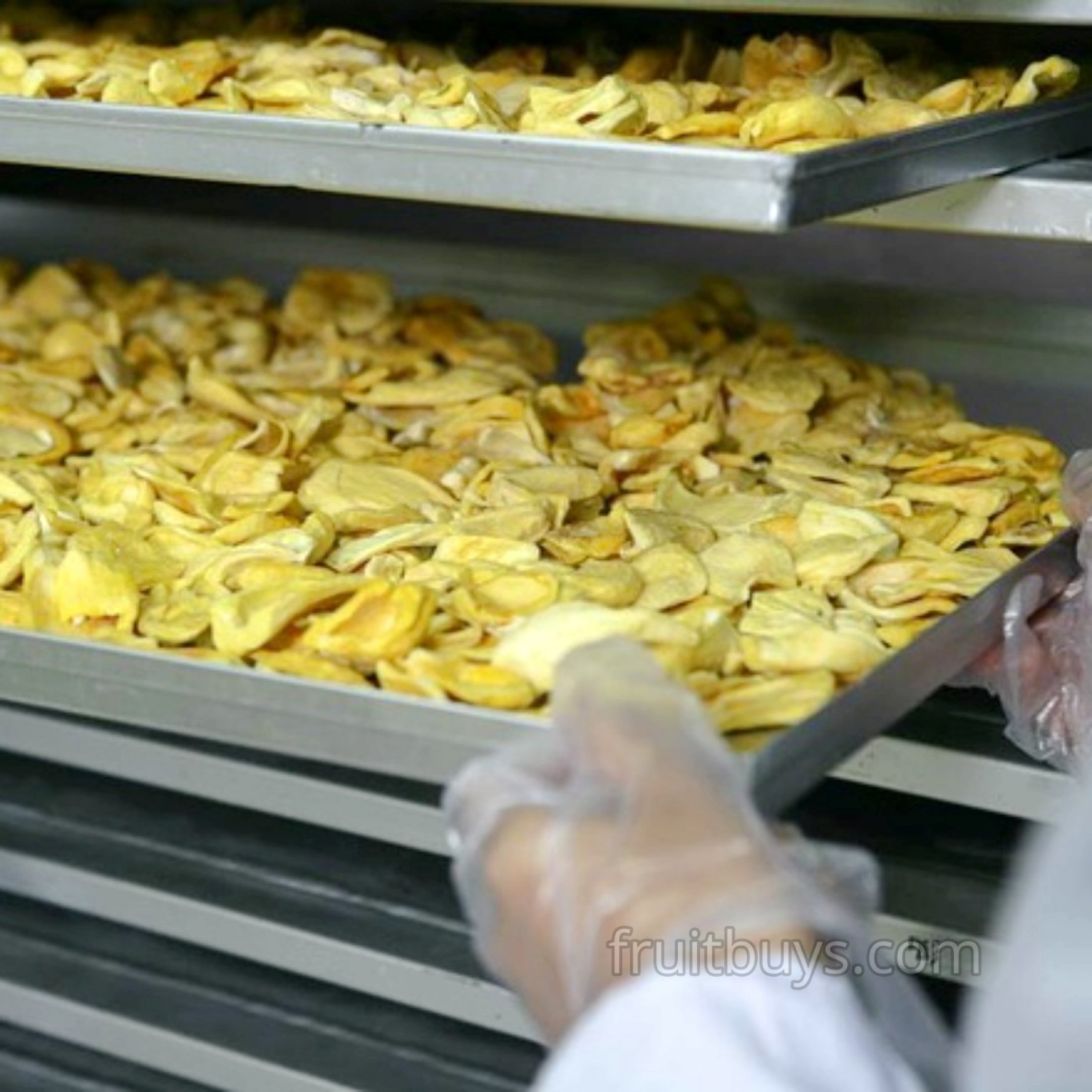 Soft Dried Jackfruit Slices No Sugar-FruitBuys Vietnam (3).jpg